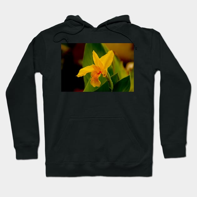 ali daffodil Hoodie by pcfyi